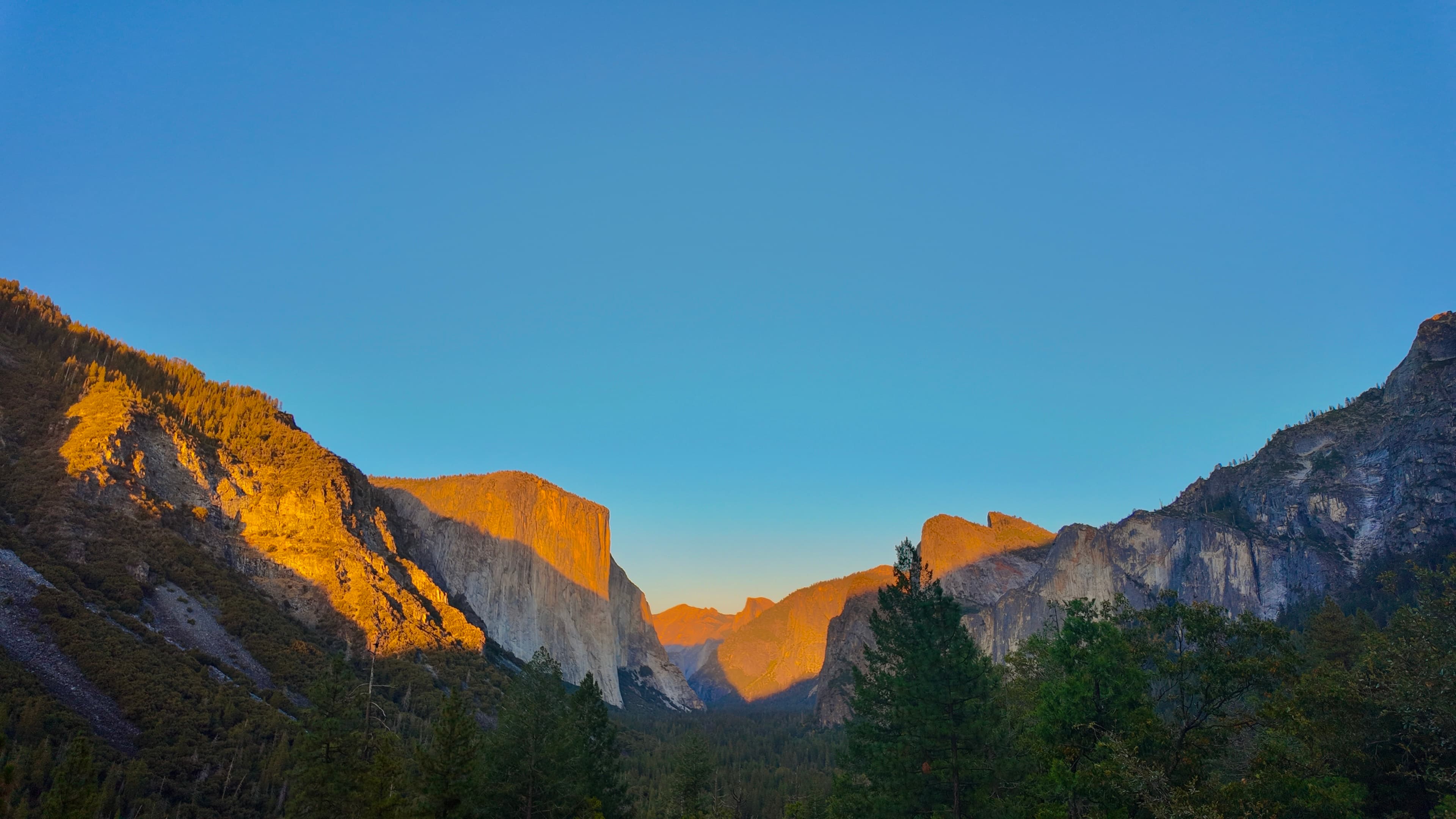 In the Absence of Certainty