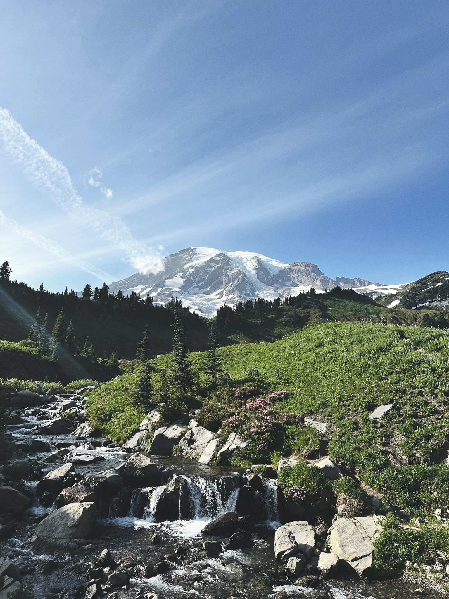 Mt. Rainier